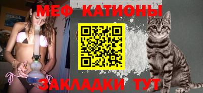 стаф Донской