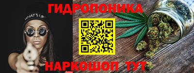дмт Дубна