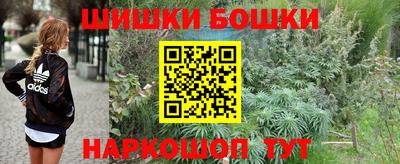 дмт Дубна