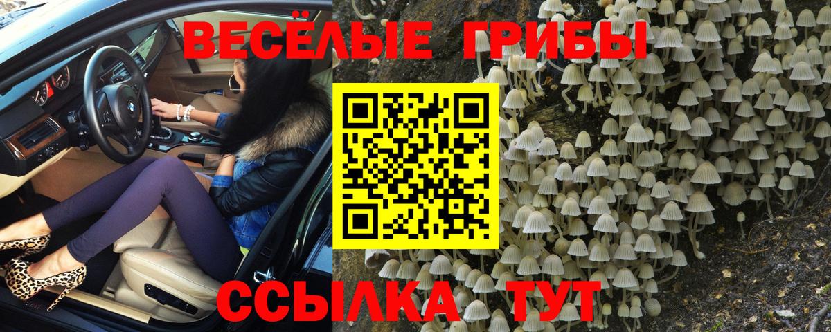 Галлюциногенные грибы ЛСД Заречный