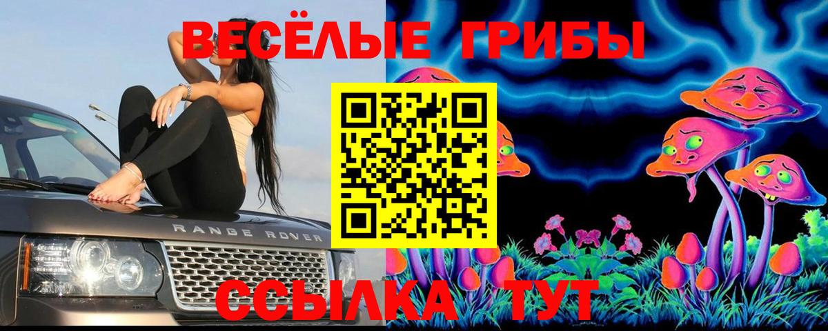Псилоцибиновые грибы GOLDEN TEACHER  Вход с VPN  Заречный  Галлюциногенные грибы Psilocybe 